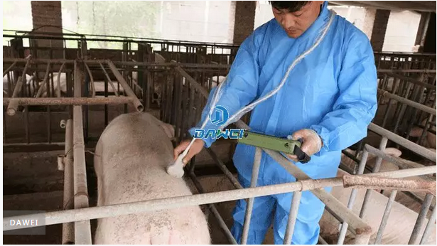 母豬B超機(jī)受孕背膘檢查