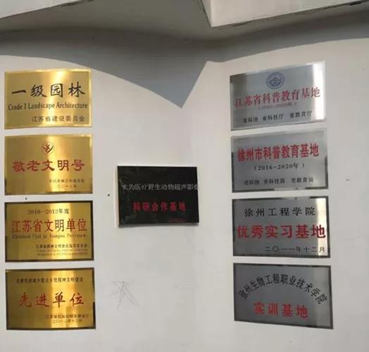 大為醫療（江蘇）有限公司