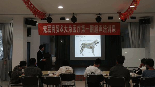 超聲培訓(xùn)課