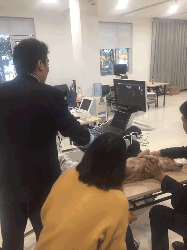 寵物b超機(jī)操作培訓(xùn)